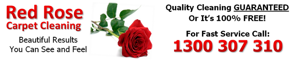 Red Rose Carpet Cleaning